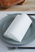 Imagen de DUNI SOFT SERVILLETA 40X40CM BLANCA